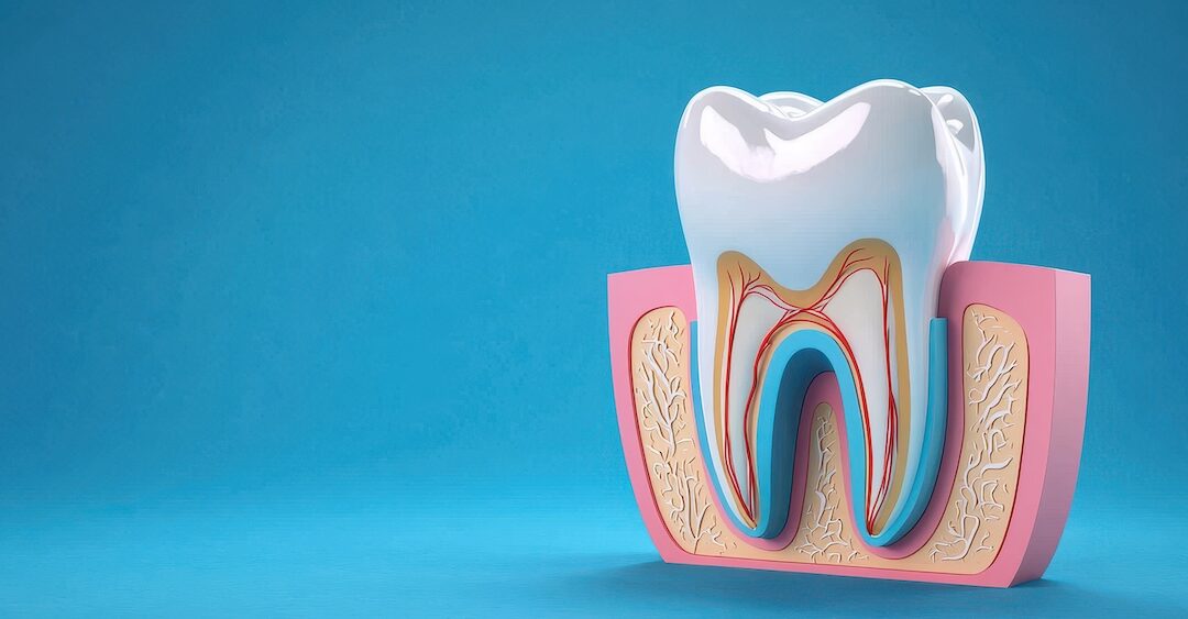 Debunking 5 Common Myths About Root Canal Therapy